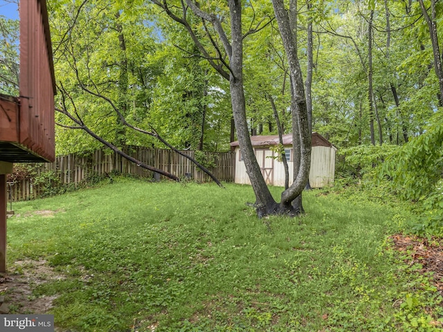 view of yard featuring a storage shed and an outbuilding
