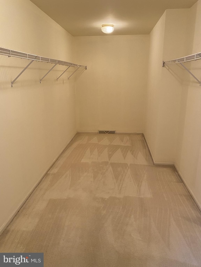 walk in closet with carpet flooring