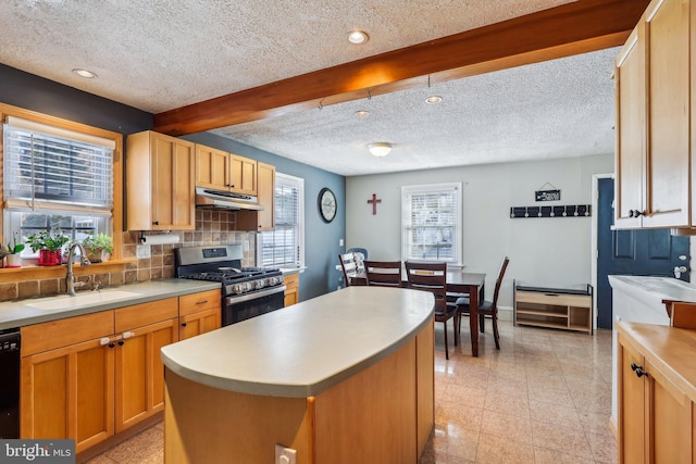 kitchen featuring a kitchen island, stainless steel range with gas cooktop, tasteful backsplash, sink, and plenty of natural light