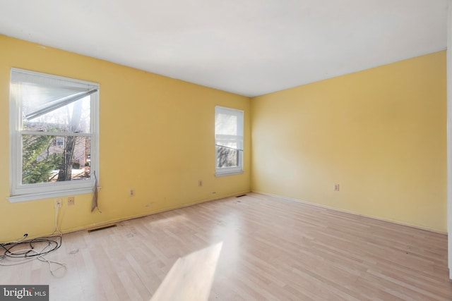 spare room featuring a healthy amount of sunlight and light wood-type flooring