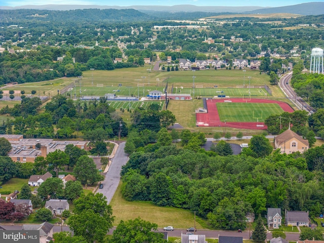 bird's eye view