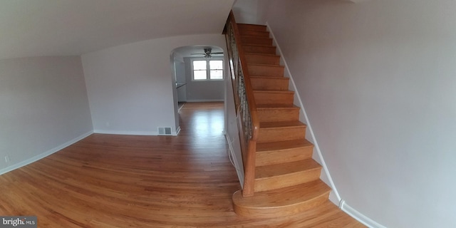 staircase with hardwood / wood-style flooring