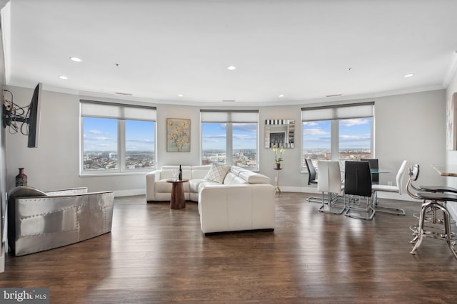 living room with ornamental molding and dark hardwood / wood-style floors