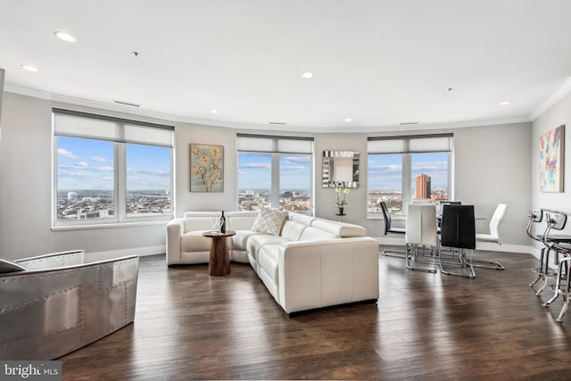 living room featuring crown molding and dark hardwood / wood-style floors