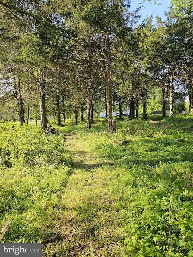 view of landscape