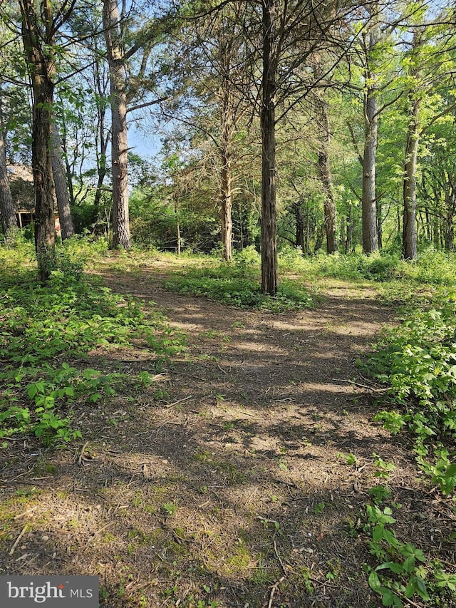 view of landscape