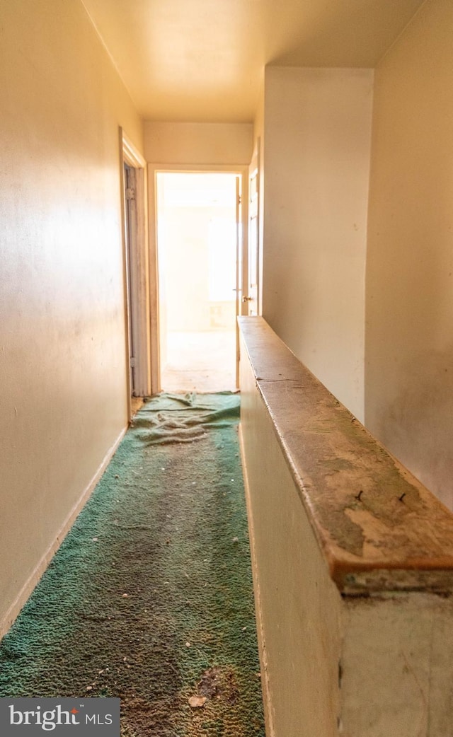 corridor featuring carpet flooring