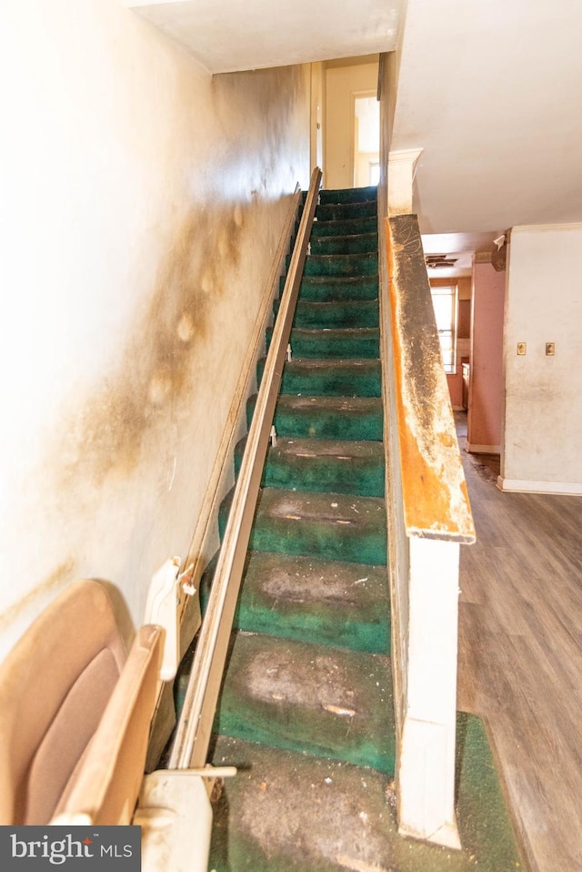 staircase with hardwood / wood-style floors