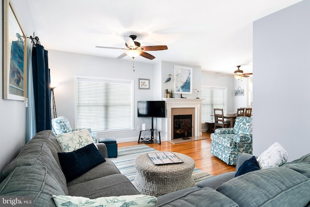 living room with ceiling fan and light wood-type flooring