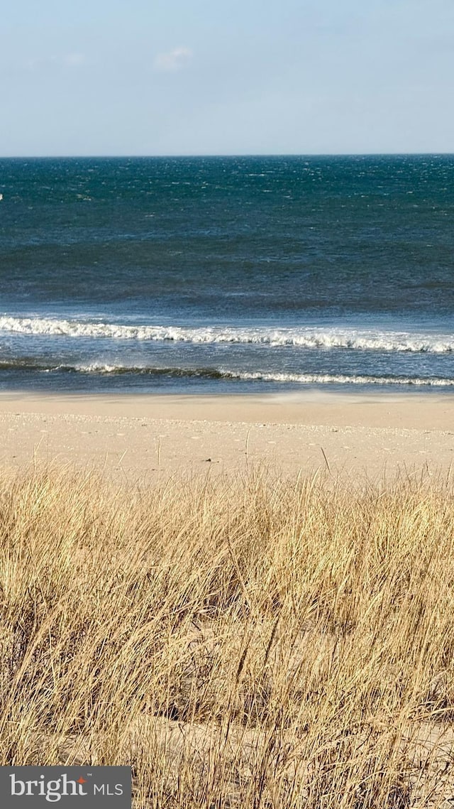 water view with a view of the beach