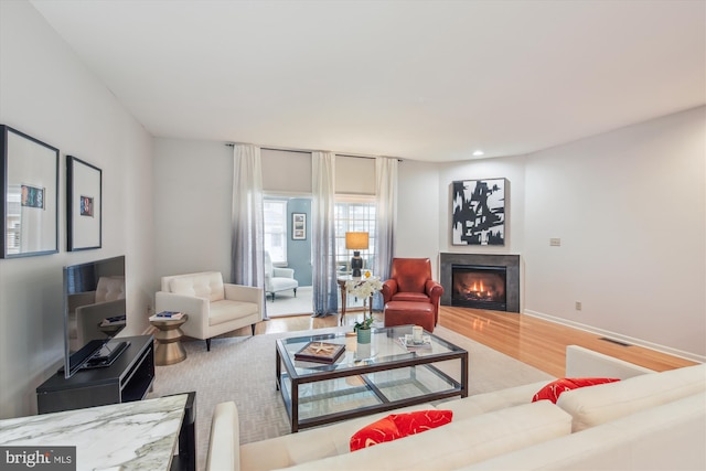 living room with hardwood / wood-style floors