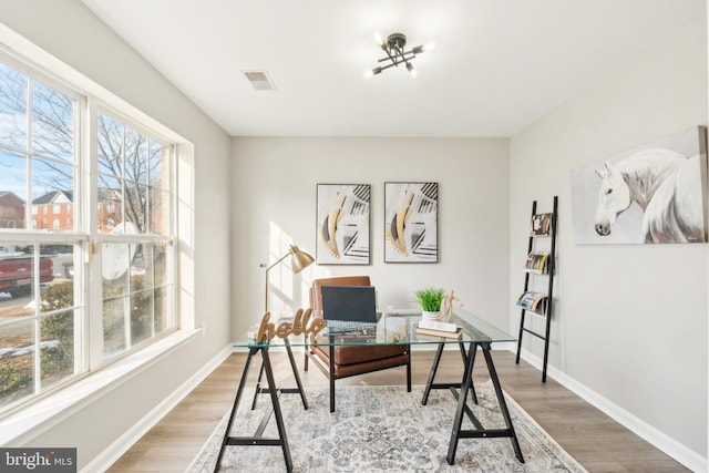 home office featuring a wealth of natural light and wood-type flooring