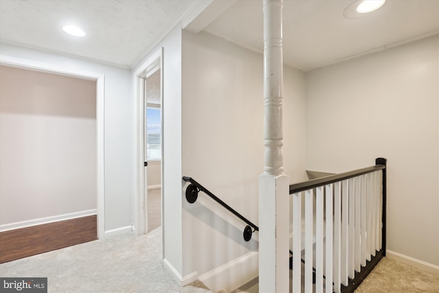 stairway featuring carpet floors