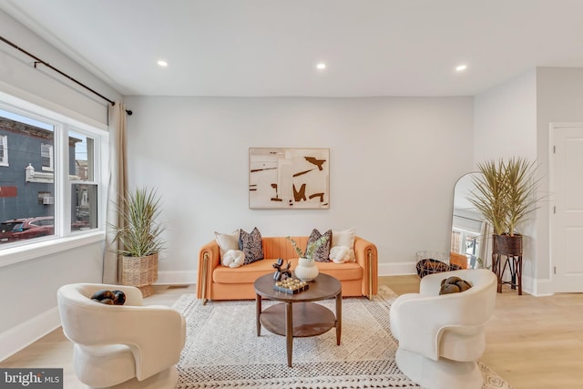 living room featuring light hardwood / wood-style flooring