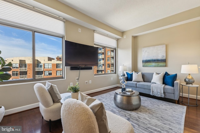 living room featuring dark hardwood / wood-style flooring