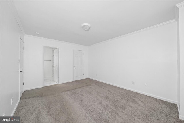 interior space with crown molding, ensuite bathroom, and carpet