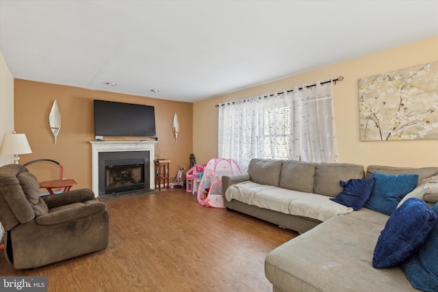 living room featuring wood-type flooring