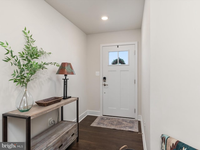 entrance foyer with dark wood-type flooring