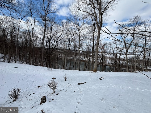 view of snowy yard