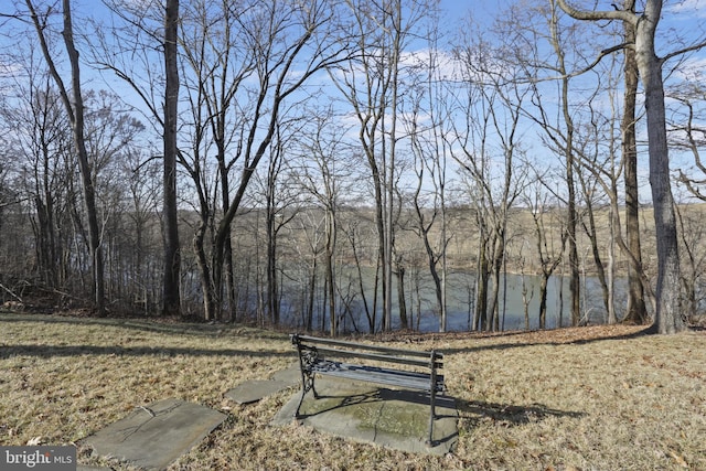 view of yard with a water view