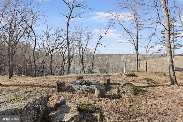 view of yard featuring a rural view