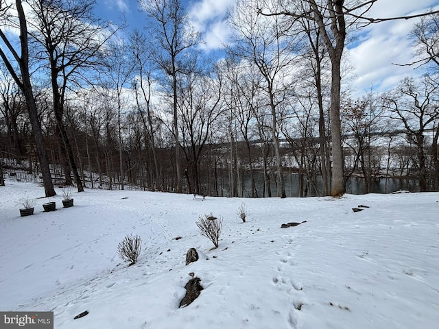 view of yard covered in snow