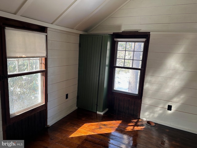 entrance foyer with vaulted ceiling, plenty of natural light, dark wood-type flooring, and wood walls