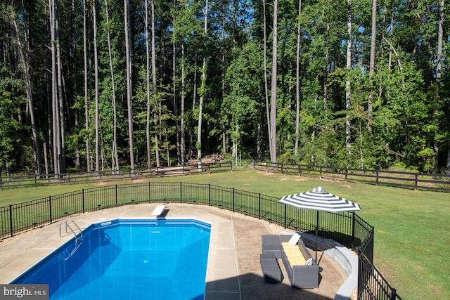 view of swimming pool with a diving board, a patio area, and a lawn