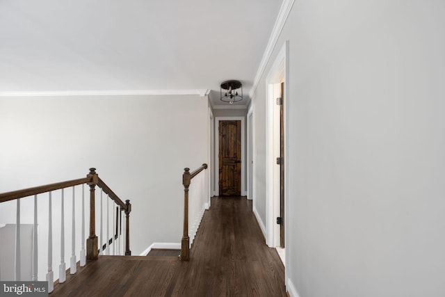 corridor with dark wood-type flooring, ornamental molding, and a chandelier