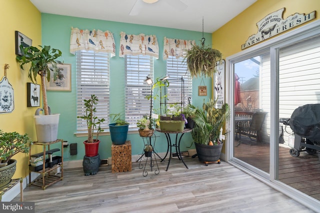 sunroom featuring ceiling fan