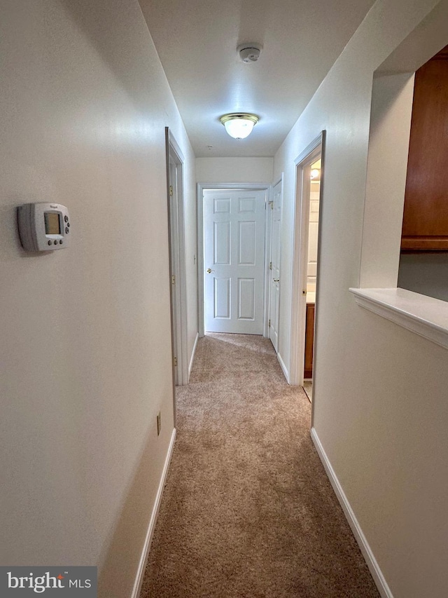 hall with light colored carpet