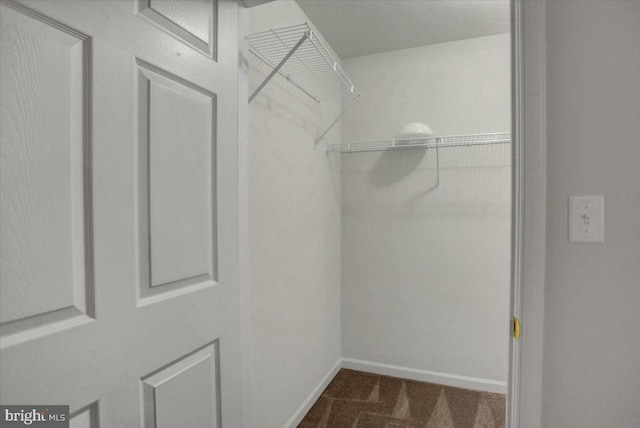 spacious closet with carpet flooring