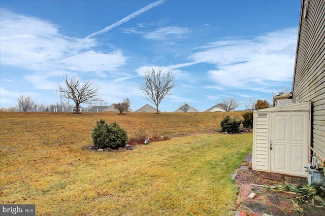 view of yard featuring a shed