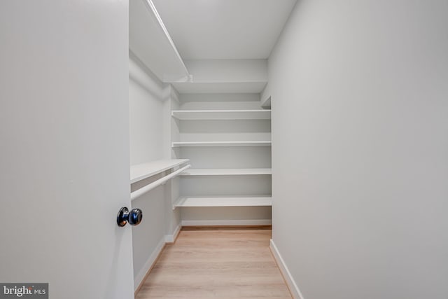 walk in closet with light wood-type flooring