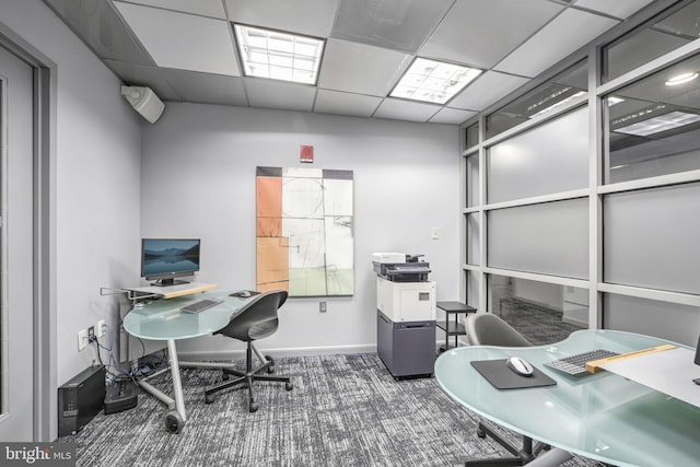 carpeted office with a paneled ceiling