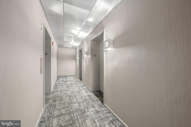 corridor featuring a paneled ceiling and carpet