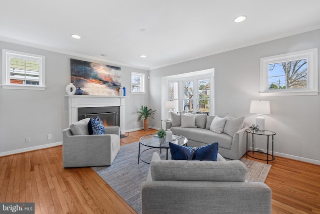 living room featuring crown molding and light hardwood / wood-style flooring