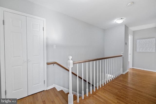 stairway with hardwood / wood-style flooring