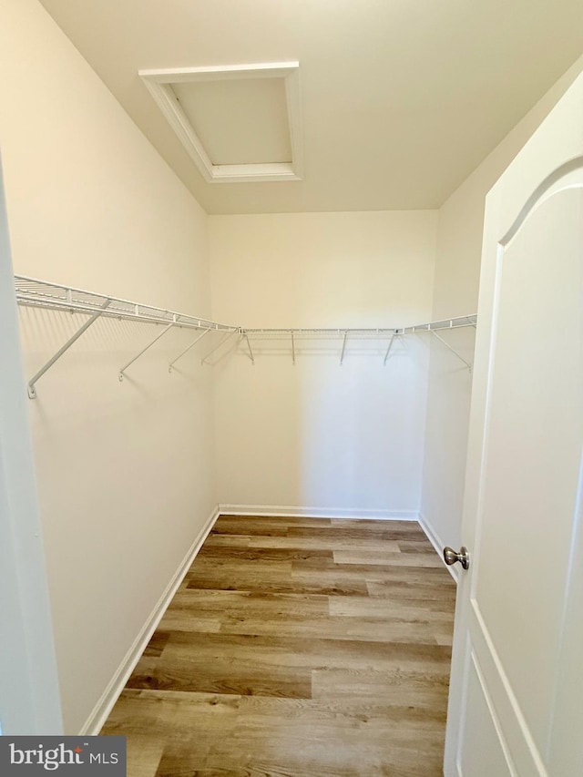 walk in closet with hardwood / wood-style flooring