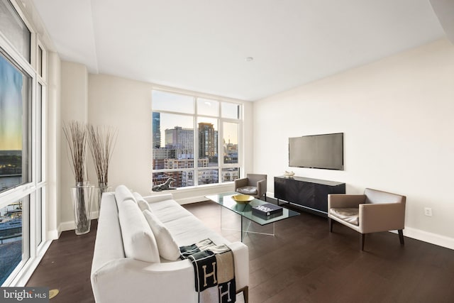 living room with dark hardwood / wood-style floors