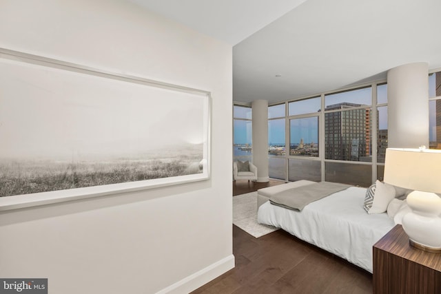 bedroom featuring expansive windows and dark wood-type flooring