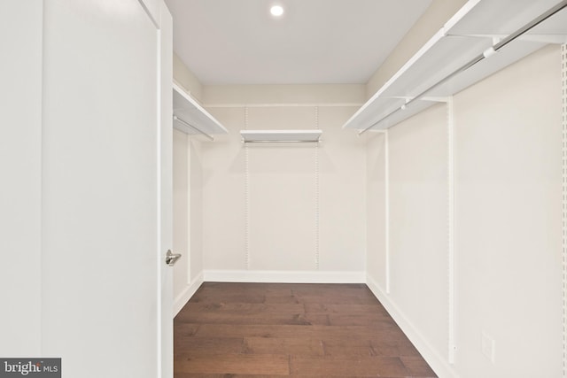 spacious closet with dark wood-type flooring