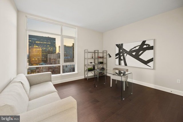 office featuring dark hardwood / wood-style flooring