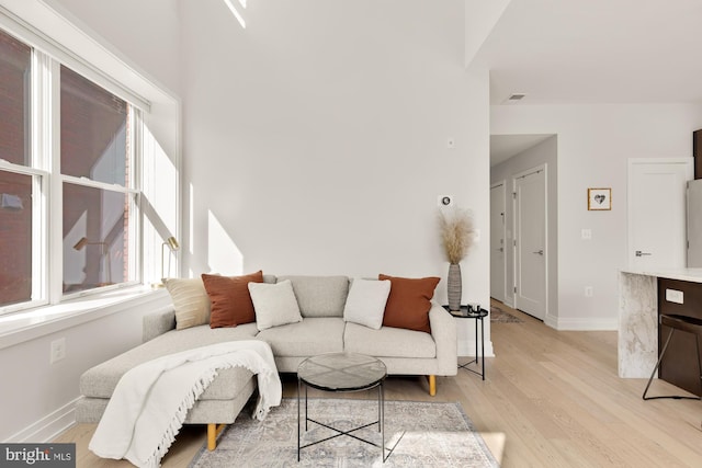 living room with light wood-type flooring