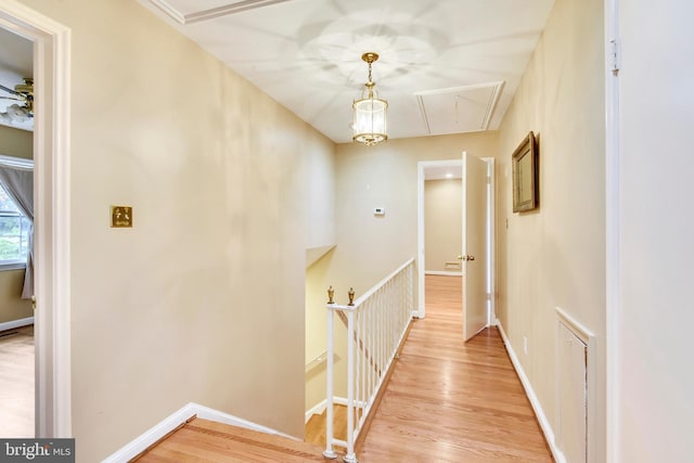 corridor featuring light hardwood / wood-style flooring