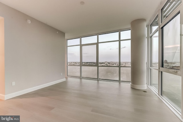 spare room with expansive windows and light hardwood / wood-style flooring