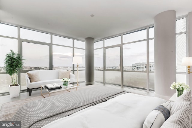 bedroom featuring expansive windows