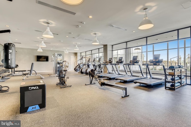 workout area with expansive windows