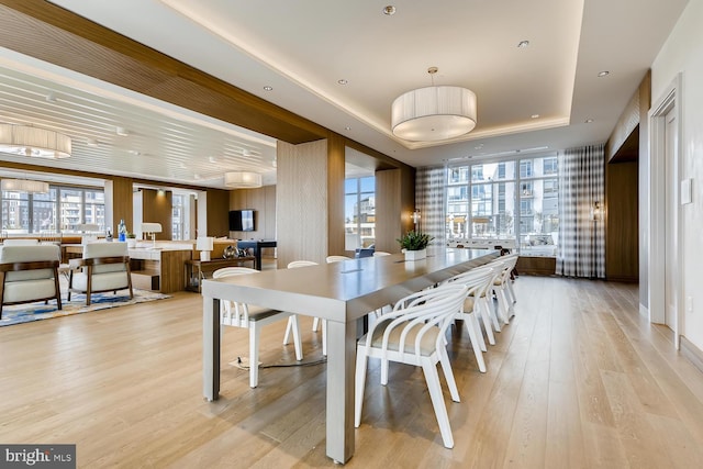 dining room featuring a tray ceiling, light hardwood / wood-style flooring, and a wealth of natural light