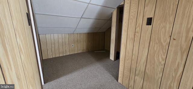 bonus room with light colored carpet and wood walls